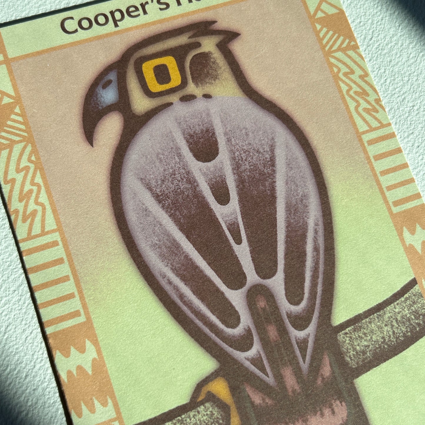 Cooper’s Hawk Postcard