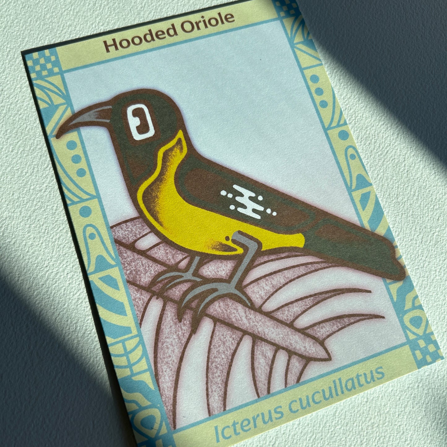 Hooded Oriole Postcard