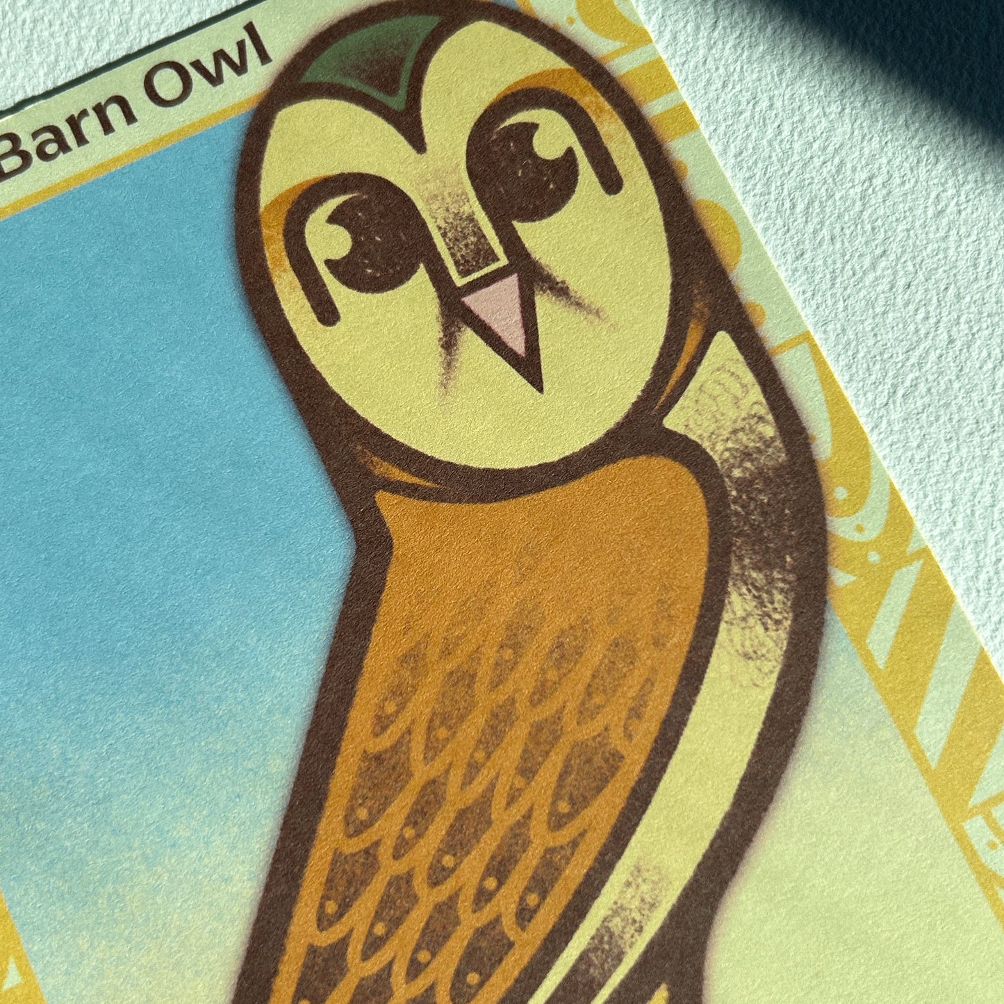 Barn Owl Postcard