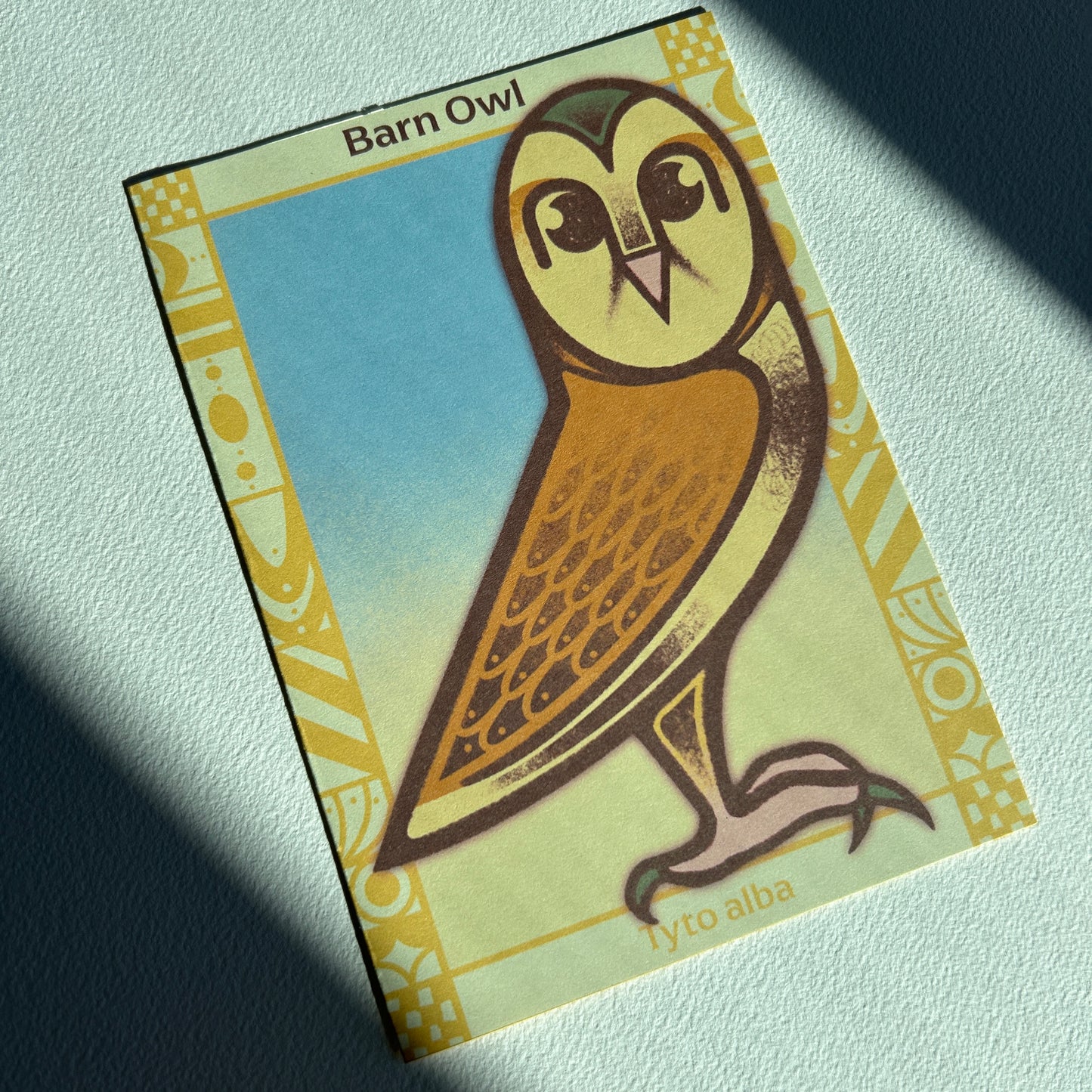 Barn Owl Postcard