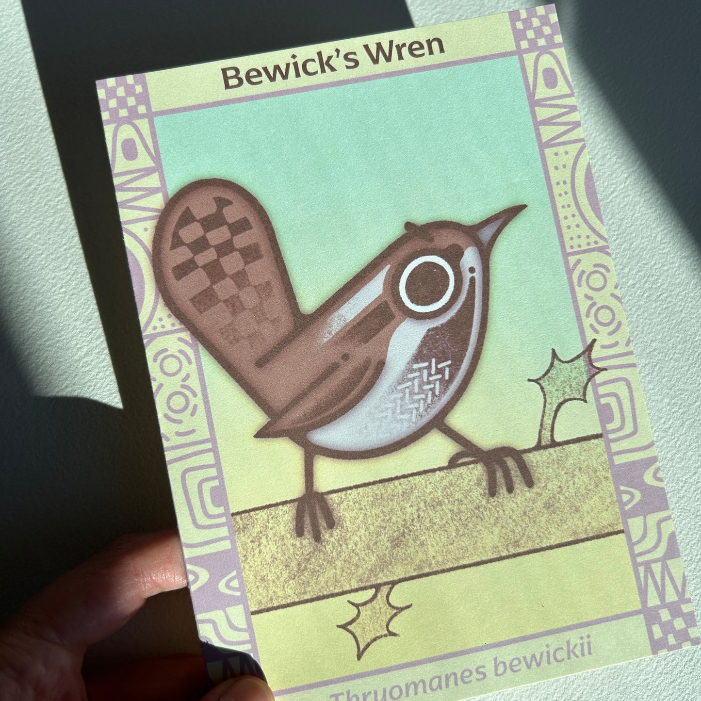 Bewick’s Wren Postcard