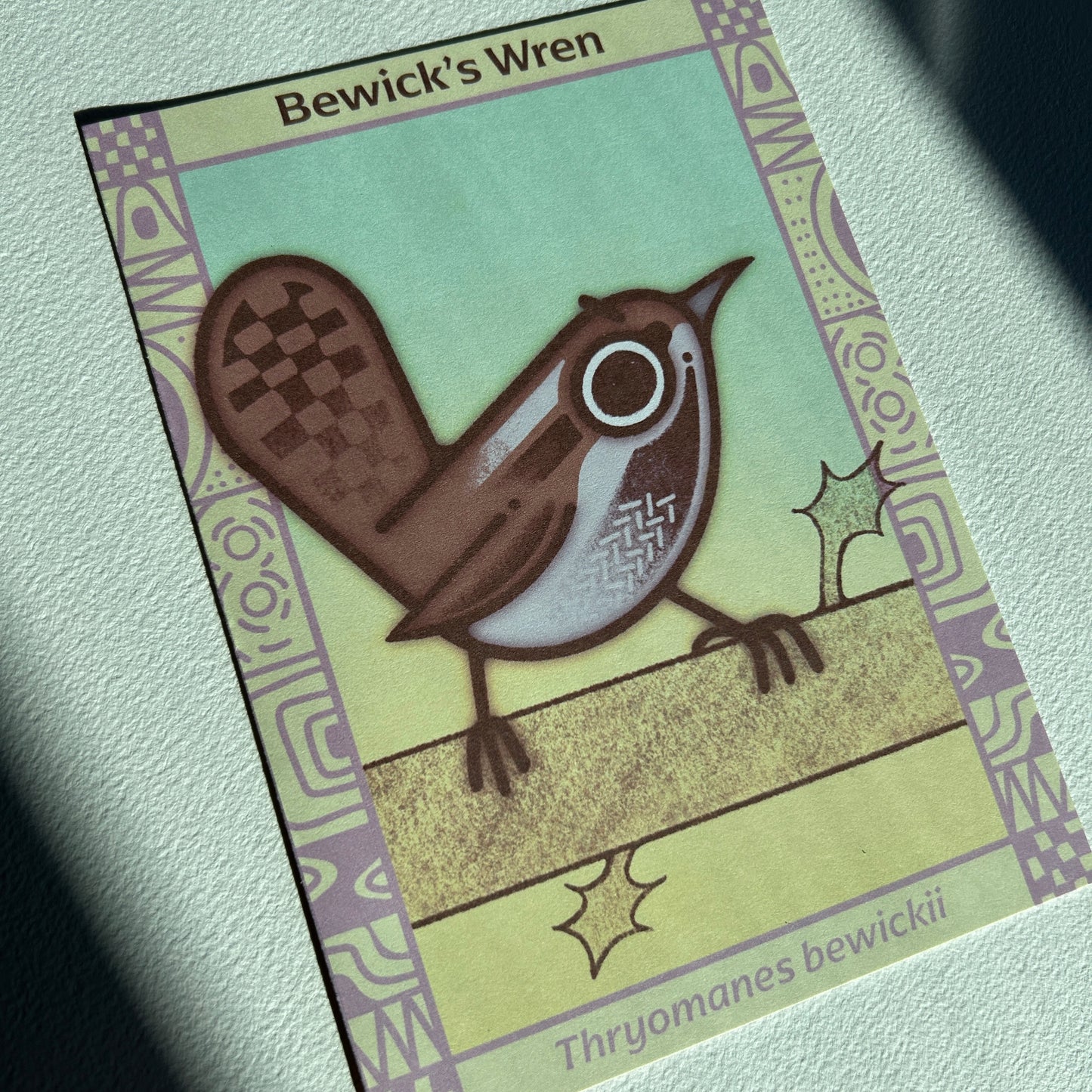 Bewick’s Wren Postcard