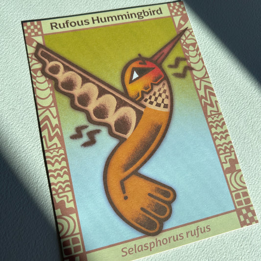 Rufous Hummingbird Postcard