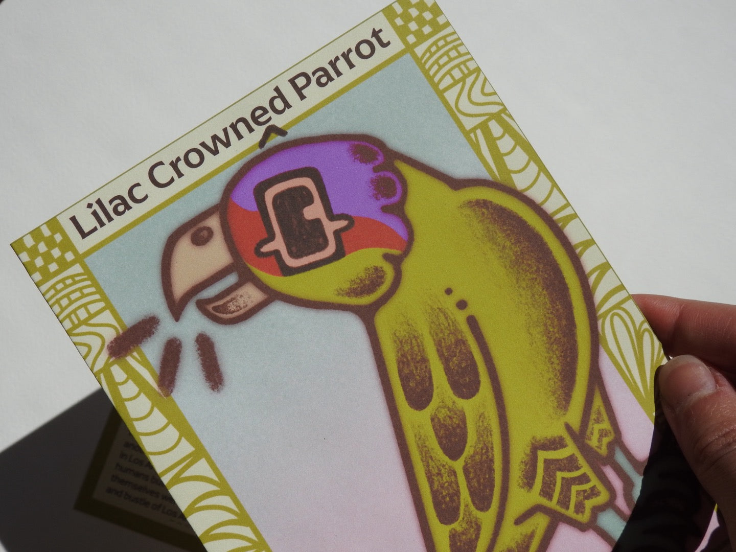 Lilac Crowned Parrot Postcard