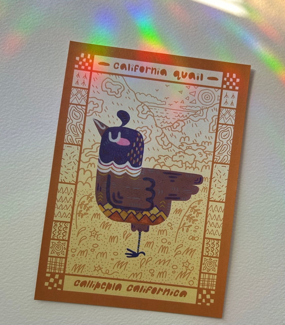 California Quail Postcard