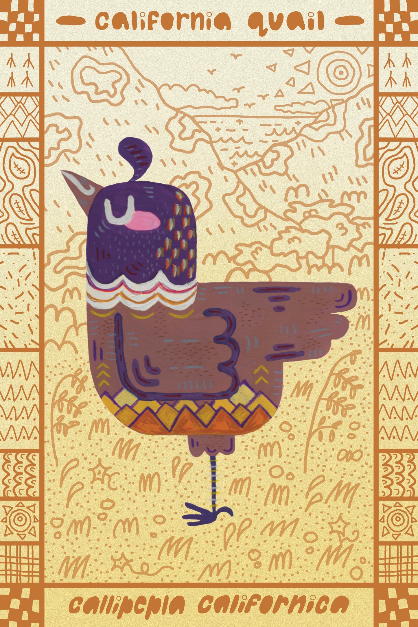 California Quail Postcard